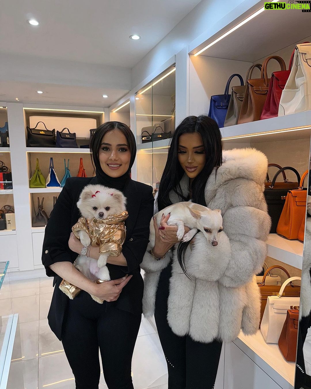 Chloe Khan Instagram - @diorcaviar making friends with Boy at @loveluxury 🐾 Love Luxury