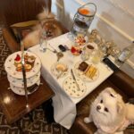 Chloe Khan Instagram - Delightful Pomeranian palace afternoon tea today with @rocco_the_pomeranian & @diorcaviar ☕️ 💕 The Egerton House Hotel