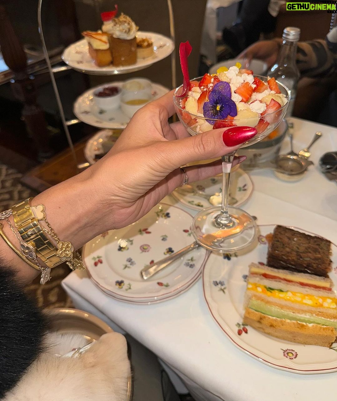 Chloe Khan Instagram - Delightful Pomeranian palace afternoon tea today with @rocco_the_pomeranian & @diorcaviar ☕️ 💕 The Egerton House Hotel