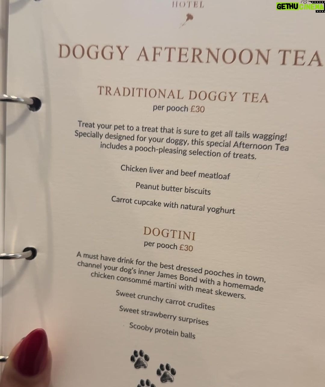 Chloe Khan Instagram - Delightful Pomeranian palace afternoon tea today with @rocco_the_pomeranian & @diorcaviar ☕️ 💕 The Egerton House Hotel