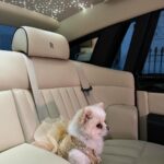 Chloe Khan Instagram - HAPPY MONDAY BITCHES @diorcaviar x @gts_hire Belgravia, London