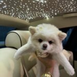 Chloe Khan Instagram - HAPPY MONDAY BITCHES @diorcaviar x @gts_hire Belgravia, London