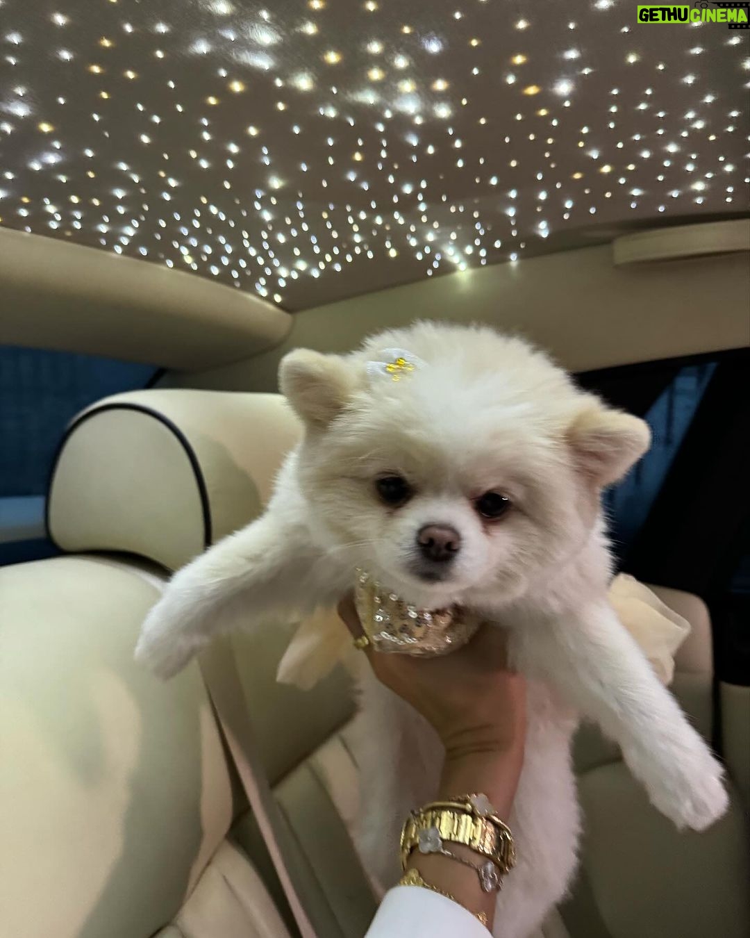 Chloe Khan Instagram - HAPPY MONDAY BITCHES @diorcaviar x @gts_hire Belgravia, London