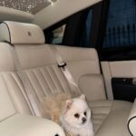 Chloe Khan Instagram - HAPPY MONDAY BITCHES @diorcaviar x @gts_hire Belgravia, London
