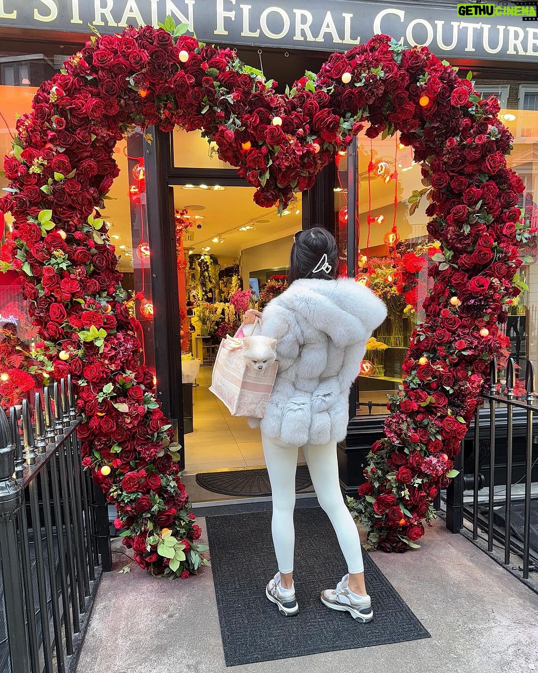Chloe Khan Instagram - Peaceful day in my peaceful neighbourhood 🌹❤️☕️ Belgravia, London