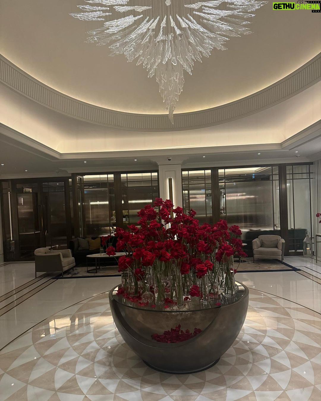 Chloe Khan Instagram - Peaceful day in my peaceful neighbourhood 🌹❤️☕️ Belgravia, London