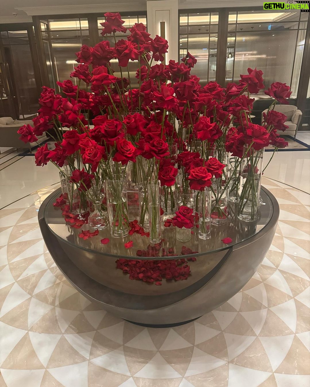 Chloe Khan Instagram - Peaceful day in my peaceful neighbourhood 🌹❤️☕️ Belgravia, London