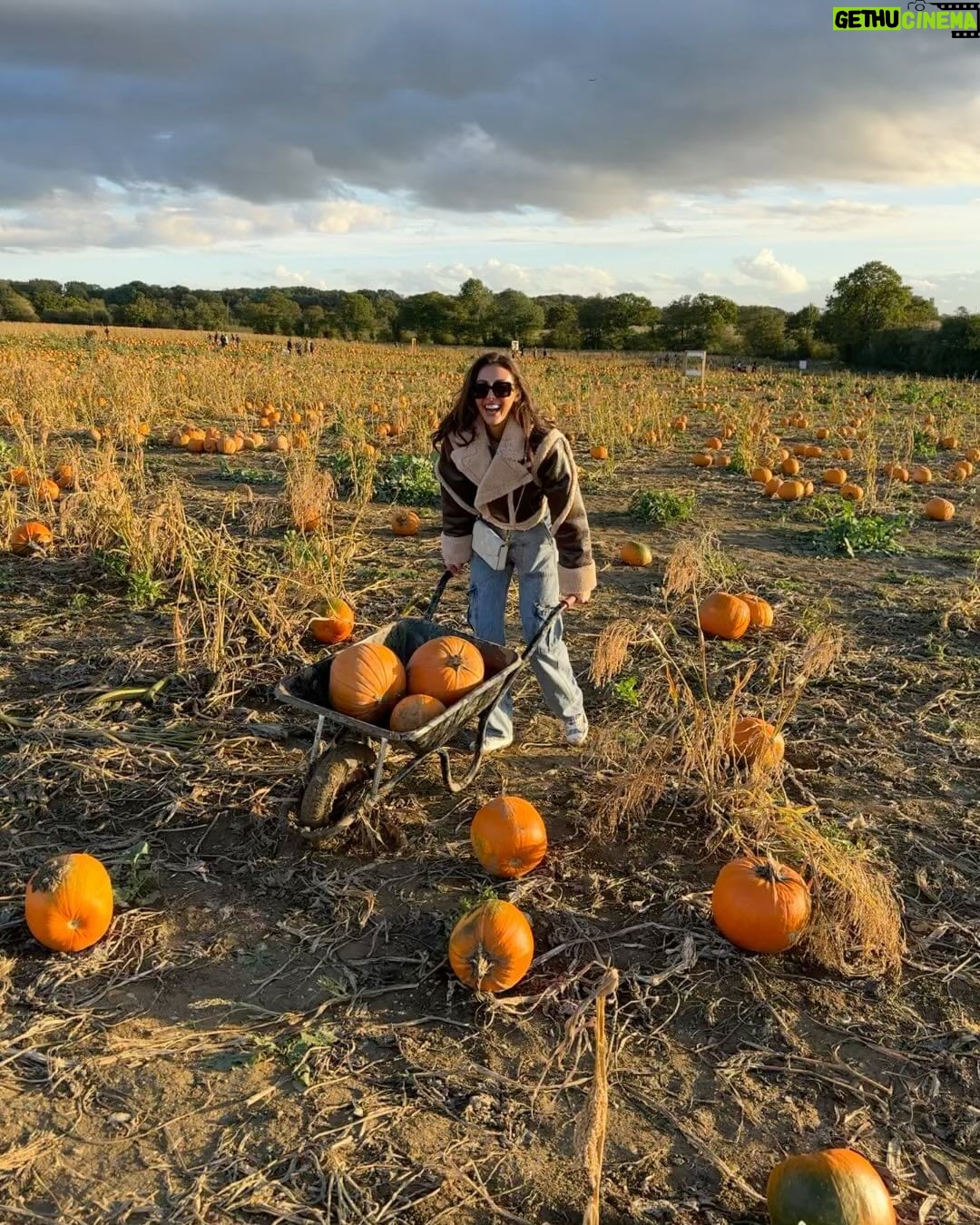 Chloe Veitch Instagram - 🎃 IM SO PROUD OF MY PUMPKIN PICKING SKILLS