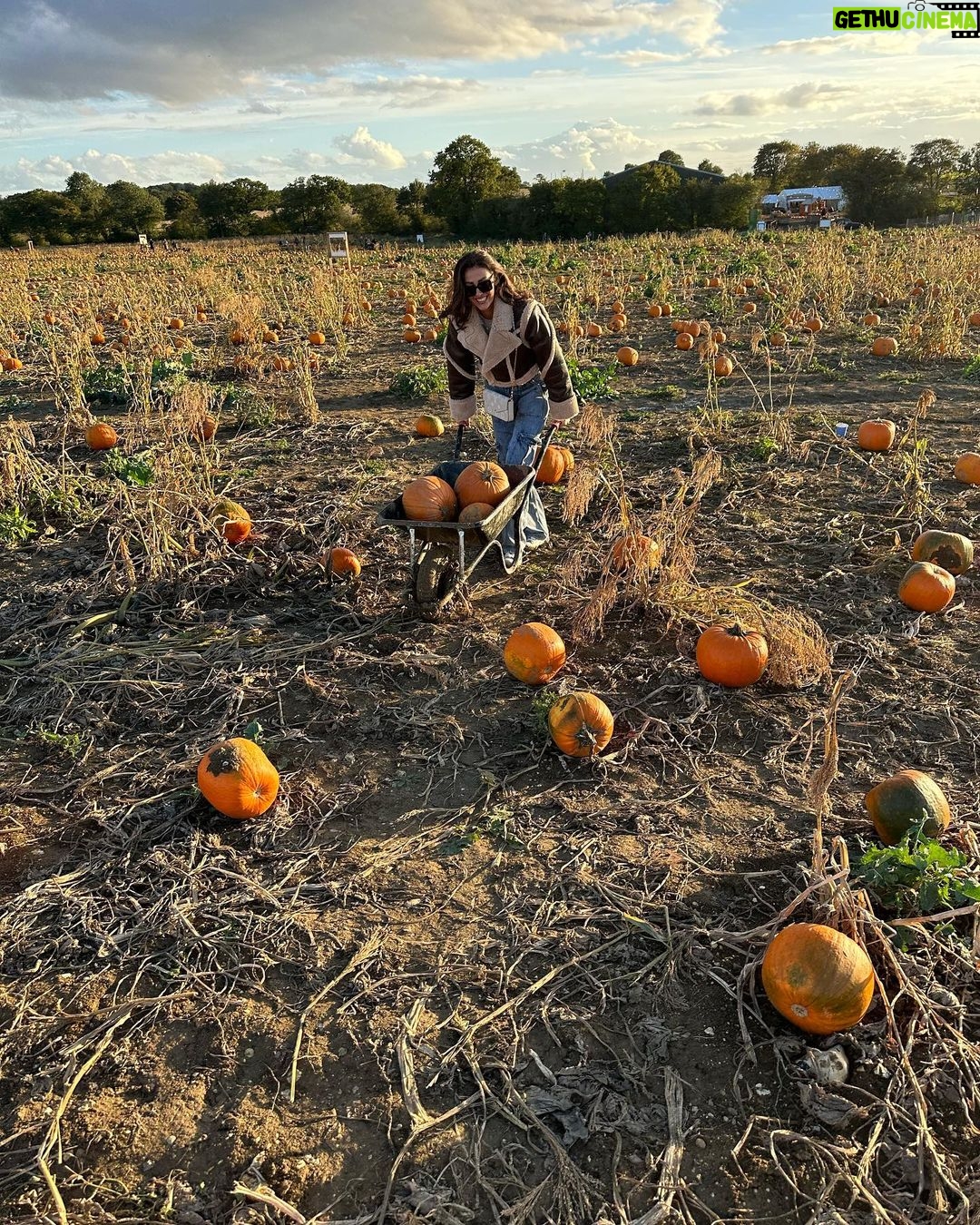 Chloe Veitch Instagram - 🎃 IM SO PROUD OF MY PUMPKIN PICKING SKILLS