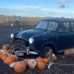 Chloe Veitch Instagram - 🎃 IM SO PROUD OF MY PUMPKIN PICKING SKILLS