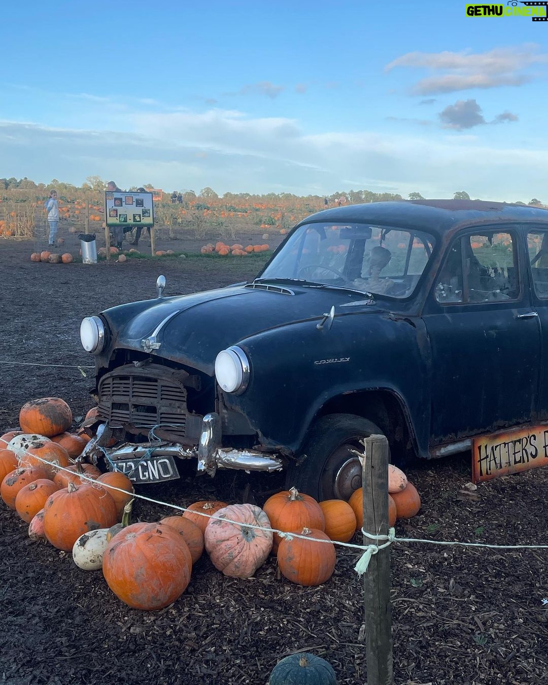 Chloe Veitch Instagram - 🎃 IM SO PROUD OF MY PUMPKIN PICKING SKILLS
