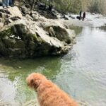 Chloe Veitch Instagram – Dump 🫶🏽 Vancouver, British Columbia