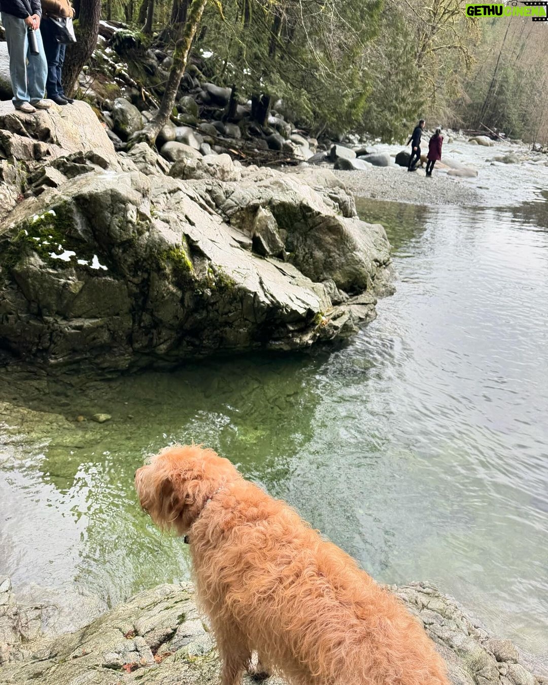 Chloe Veitch Instagram - Dump 🫶🏽 Vancouver, British Columbia