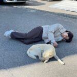 Cho Byeong-kyu Instagram - 길 소문 길 강아지