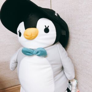 Cho Kyu-hyun Instagram - 9월 맞이 예전 사진과 펭귄 근황 #썬그리규 #조정뱅이 #펭귄근황