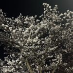 Choi Hyun-wook Instagram - 마주치며 담기