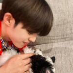 Choi Seung-cheol Instagram -