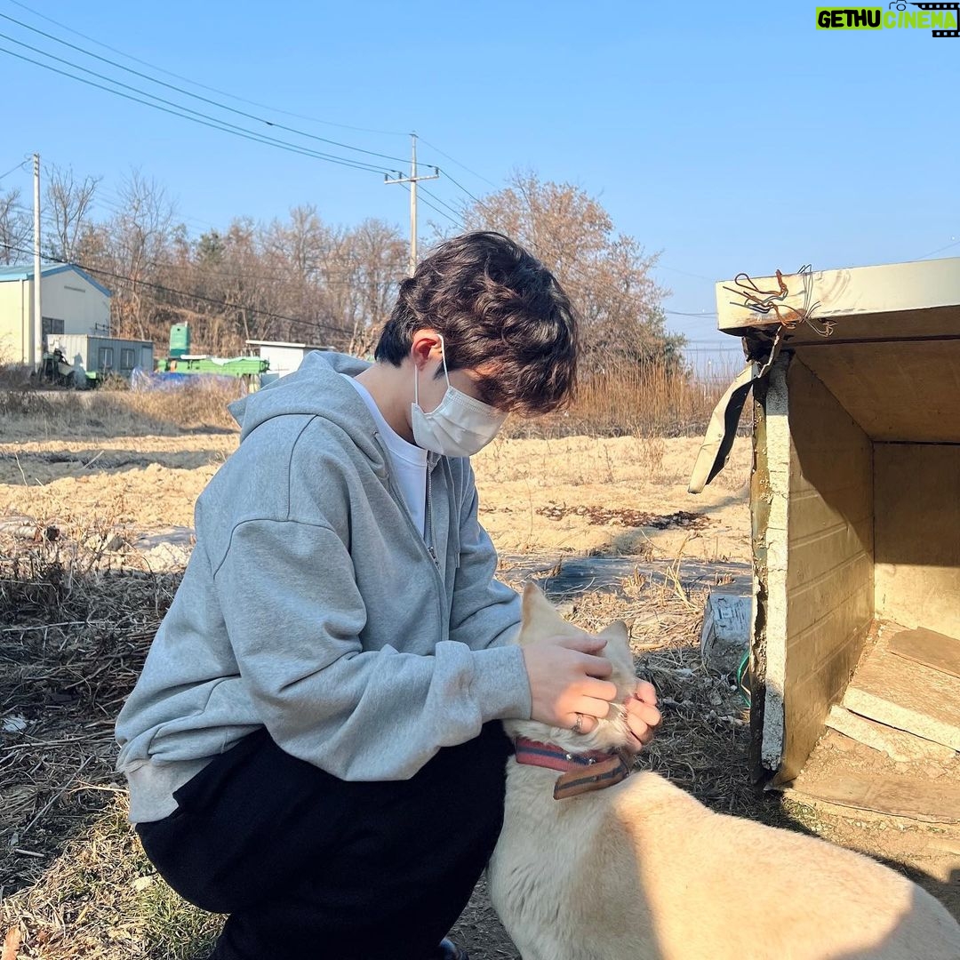Choi Seung-cheol Instagram - 하얀 마음 백구🤍