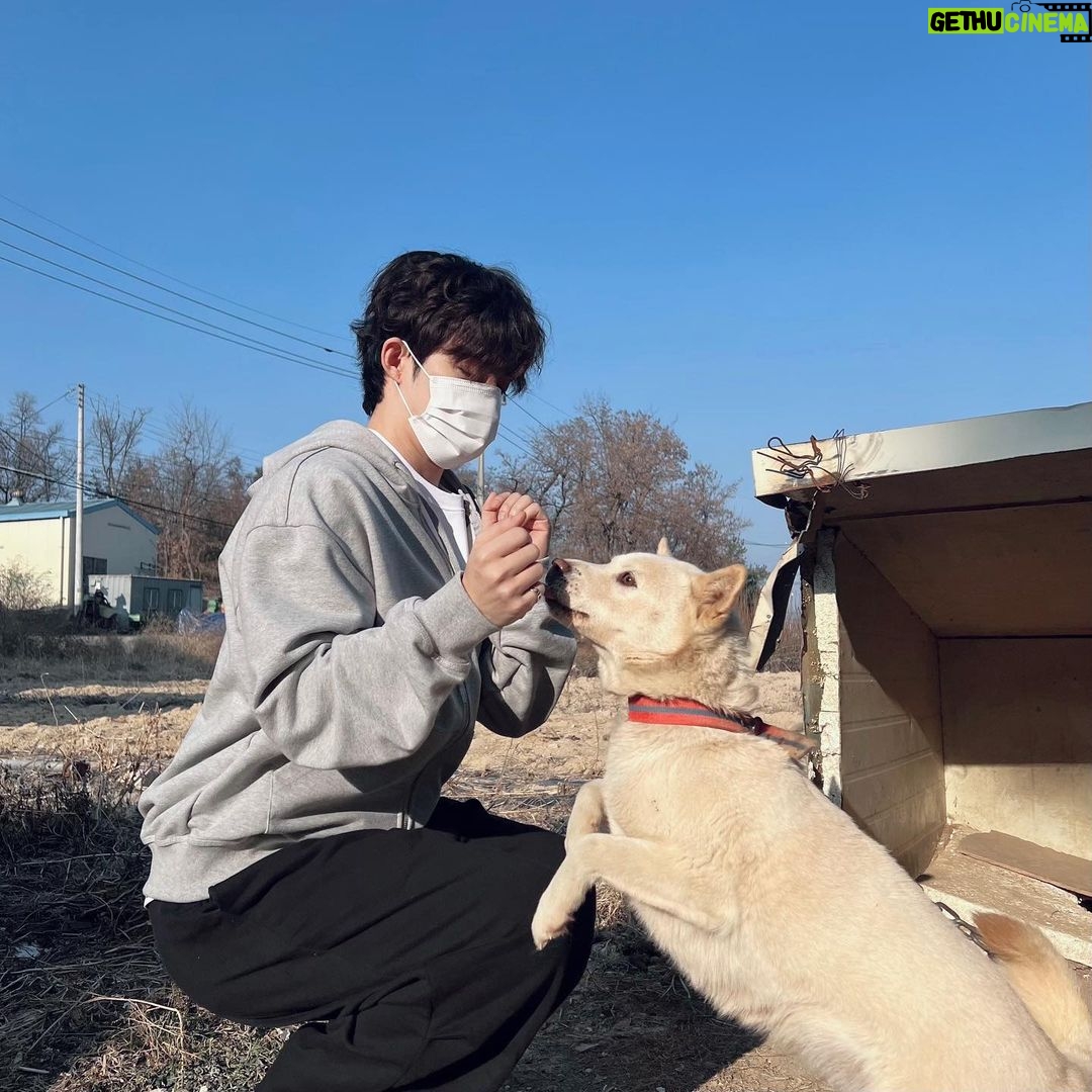 Choi Seung-cheol Instagram - 하얀 마음 백구🤍