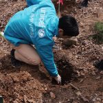 Choi Si-won Instagram – Climate crisis leads to serious child rights problem. Please support this amazing campaign: ‘Plant our planet.’ @unicef_kr @mofa_kr @forest_korea