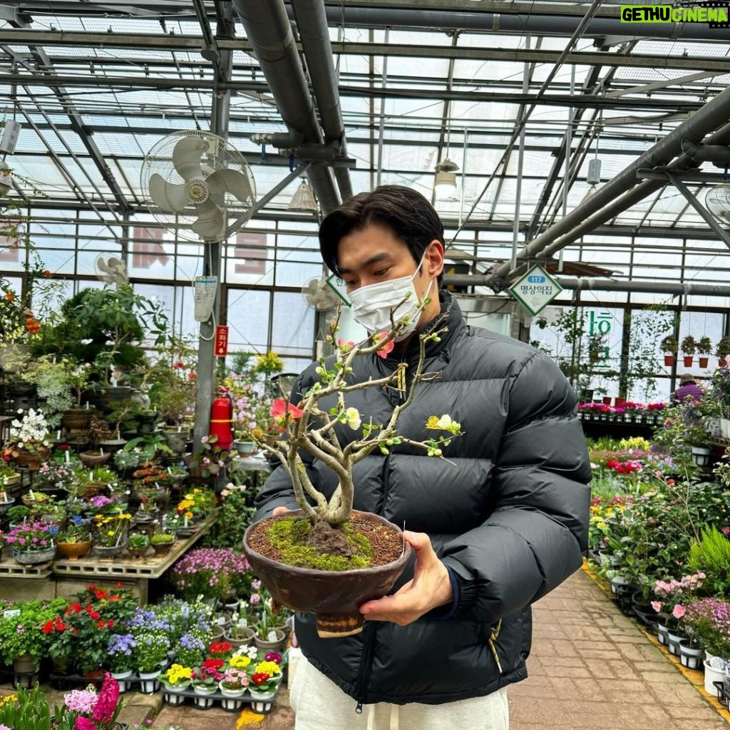 Choi Si-won Instagram - A sudden break on a foggy day, I prepare for spring. South Korea
