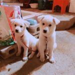 Choi Tae-joon Instagram - 오늘밤도 훈남정음 하는날!! 빵식이 빵순이도 본방사수!!🤩