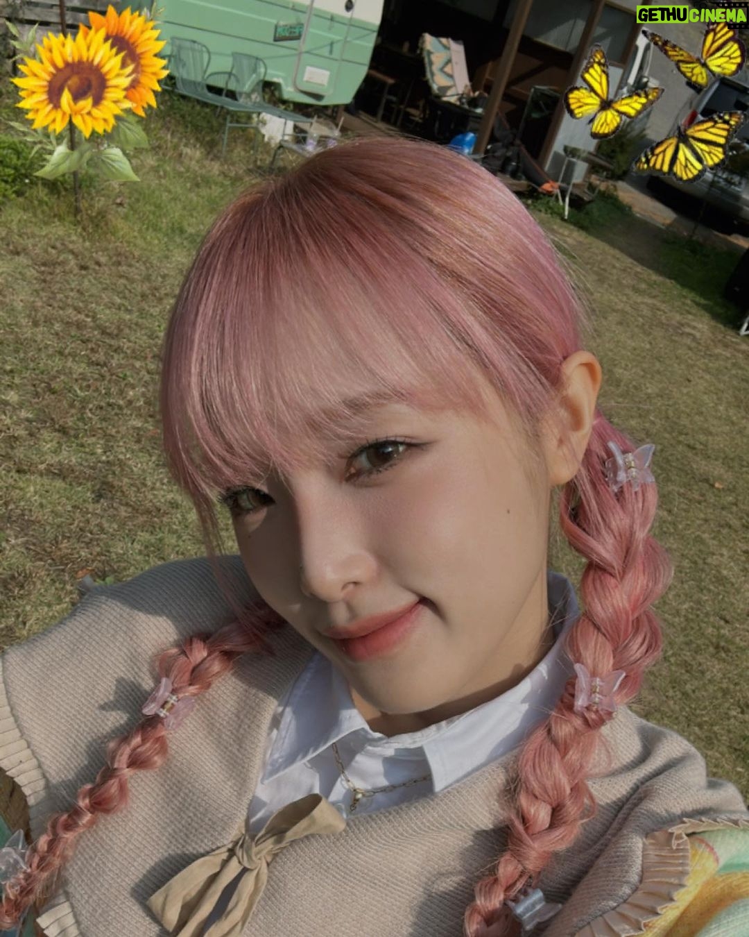 Choi Ye-na Instagram - 2024 SEASON'S GREETINGS🌻