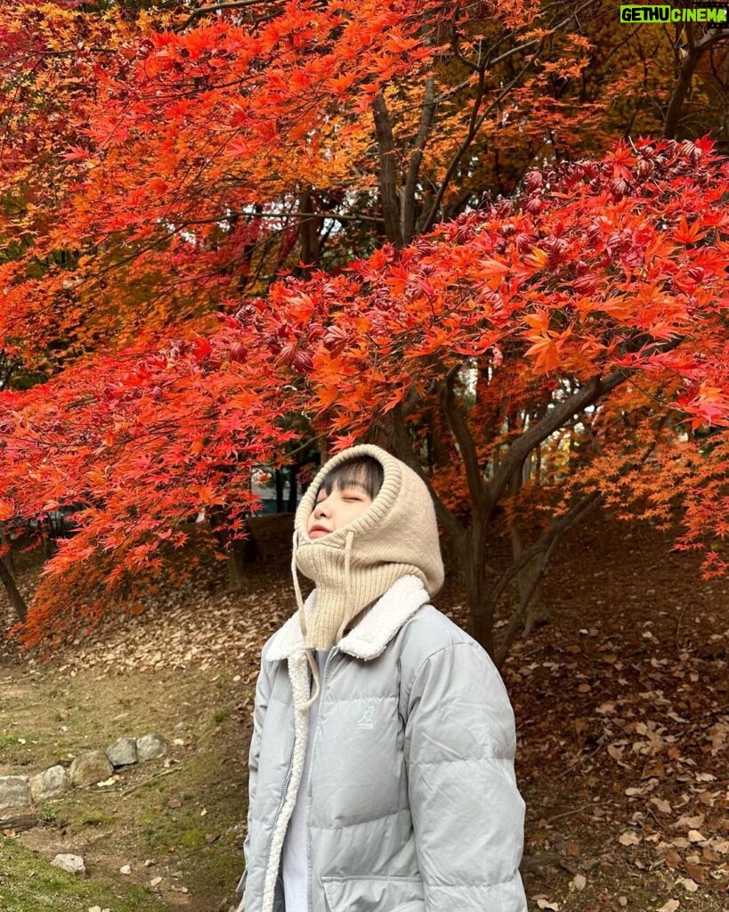 Choi Ye-na Instagram - 🍁🍁🍁🦘