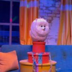 Chris Colfer Instagram - Thank you for hosting me and my friends @unistudios! We had an amazing time! Can someone please explain to me why - at 32 years old - the @secretlifeofpets is my favorite ride??? Universal Studios Hollywood