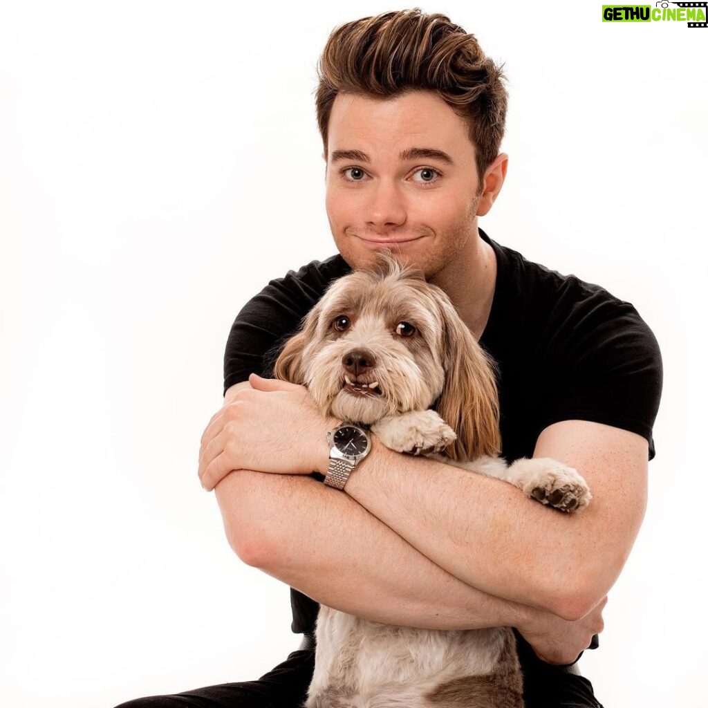 Chris Colfer Instagram - Fitzgerald was not thrilled about his first photoshoot. 🤣🤣 Thank you so much to @charlienunnphotography for including me, Fitzgerald, and Cooper in the upcoming coffee table book for animal charity. Can’t wait to share the rest of the photos! 🐶