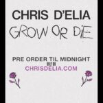 Chris D’Elia Instagram – The last 3.5 years led me to this. For that, I am grateful. “Grow or Die” at chrisdelia.com