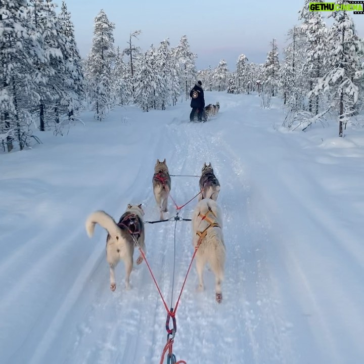 Chris Hughes Instagram - Bucket list ✔️ Lapland is magical 🎄❄️ Lapland (Finland)