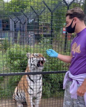 Chris Hughes Instagram - I saw a tiger, and the tiger saw a man 🐅🥵

@paradisewildlifepark