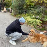 Chris Hughes Instagram - A wholesome few months consisting of horses, food and fitness ☀️👟🐎🐶