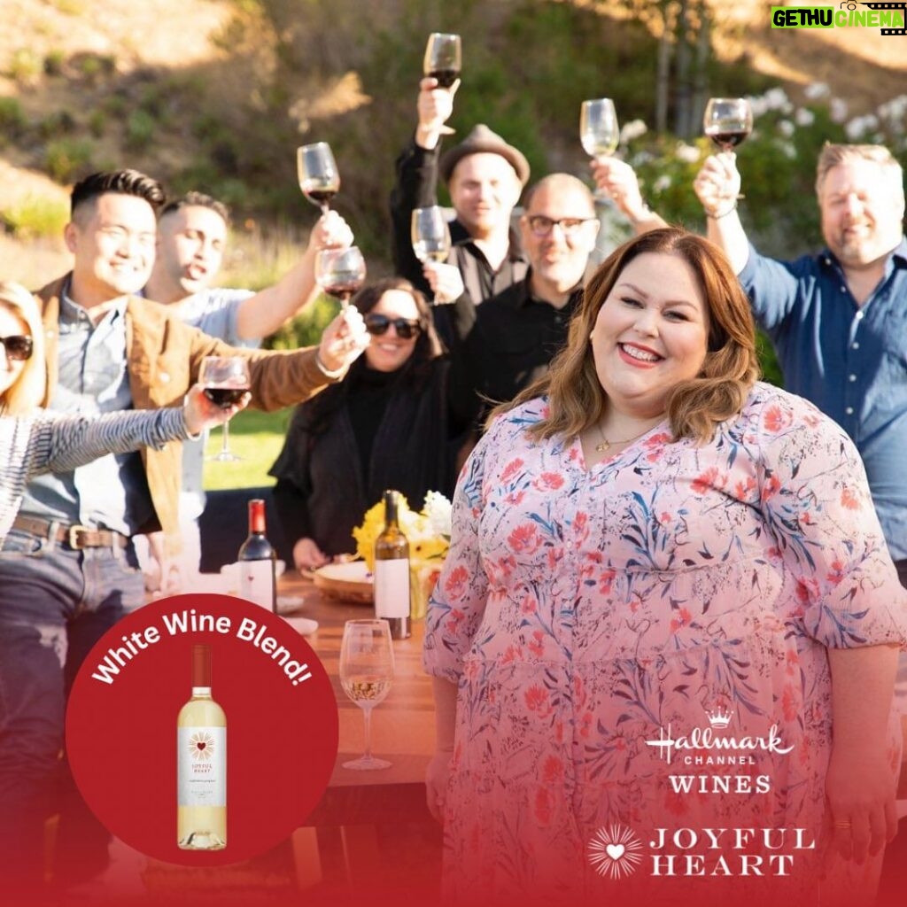 Chrissy Metz Instagram - Wine club members we have a treat for you! And for those that haven’t signed up yet, you won’t want to miss this! There will be a “joyful” new addition to this month’s wine club shipment — Chrissy Metz’s Joyful Heart Wine 🍷❤️ Link in bio. #joyfulheart #joyfulheartwine #chrissymetz #hallmark #hallmarkchannel #hallmarkchannelwines #hallmarkchannelwineclub