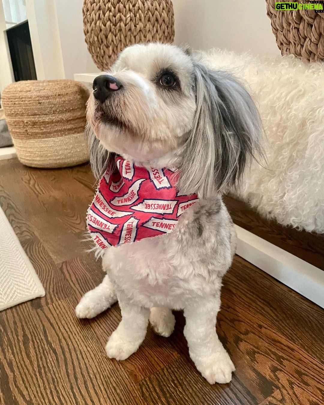 Chrissy Metz Instagram - It’s Mabel’s world, we’re all just livin’ in it. Happy #NationalDogDay, y’all! 🐾