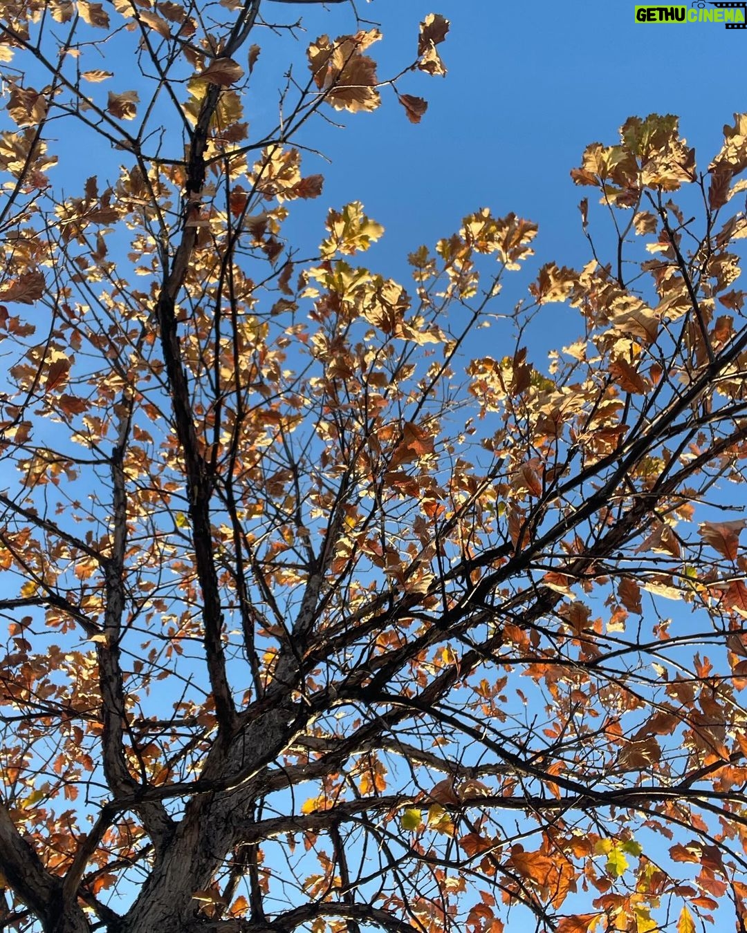 Chrissy Metz - 32.7K Likes - Fall is fall-in’ ya’ll .