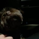 Christian Convery Instagram - My dog went to set 🐶