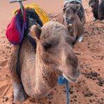 Christian Convery Instagram - Magical Sahara Desert #morocco