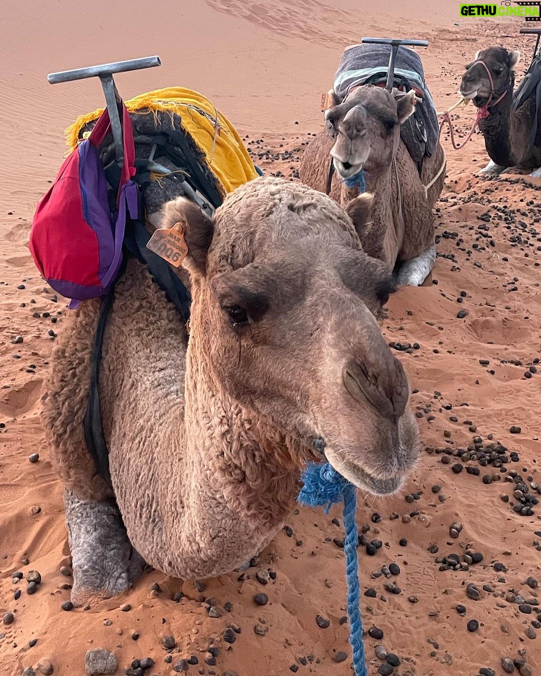 Christian Convery Instagram - Magical Sahara Desert #morocco