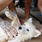 Christian Figueiredo Instagram - foi uma tarde gostosa… 💛☀️👶🏼🐶💦