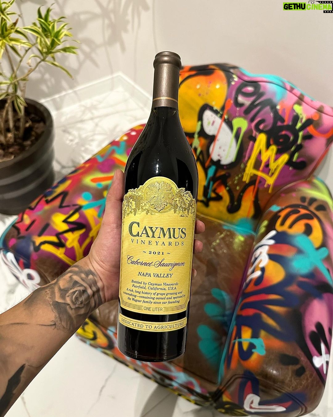Christian Figueiredo Instagram - hoje foi um dia artístico… ✨🎨🍷