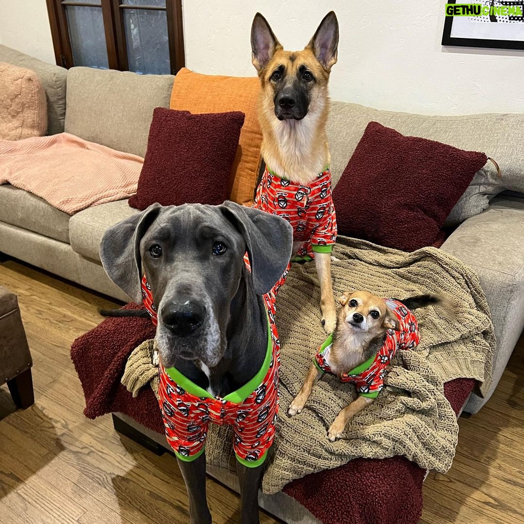 Christian Navarro Instagram - Merry Christmas Eve from Casa Navarro Los Angeles, California