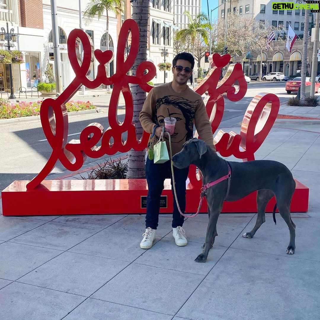 Christian Navarro Instagram - āIām talkin bout my best friend š¶ ā Luna needed some Louis Vuitton and @ladureeus Rodeo Drive