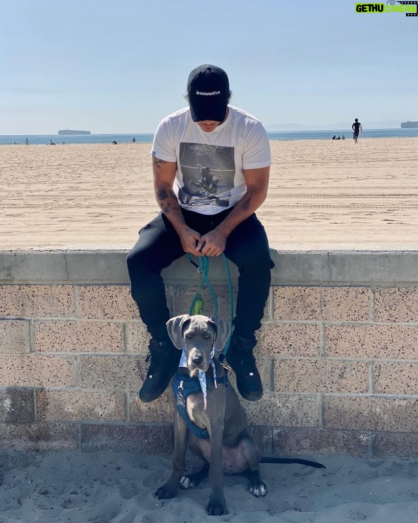 Christian Navarro Instagram - Beach. Boy. Dog. Los Angeles, California
