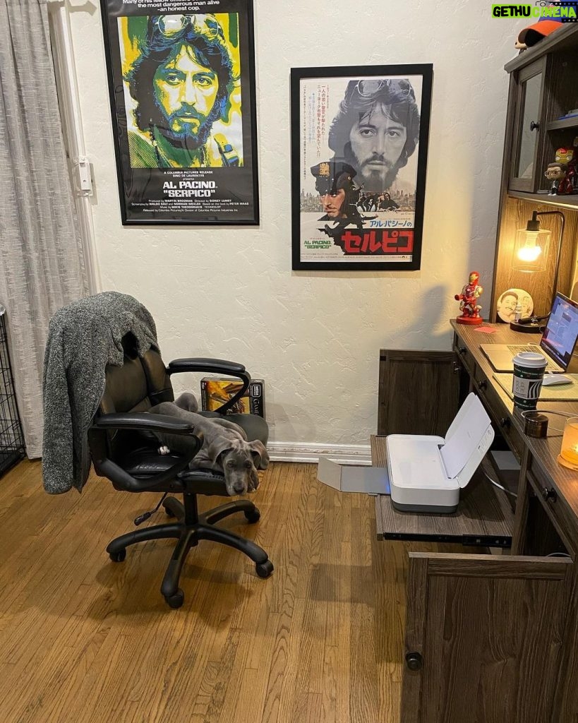 Christian Navarro Instagram - I walk into my office to continue writing and I find a Great Dane editing my pages. Now she’s claiming she can finish the script in a few days if I leave her alone. The PAWdacity. Los Angeles, California