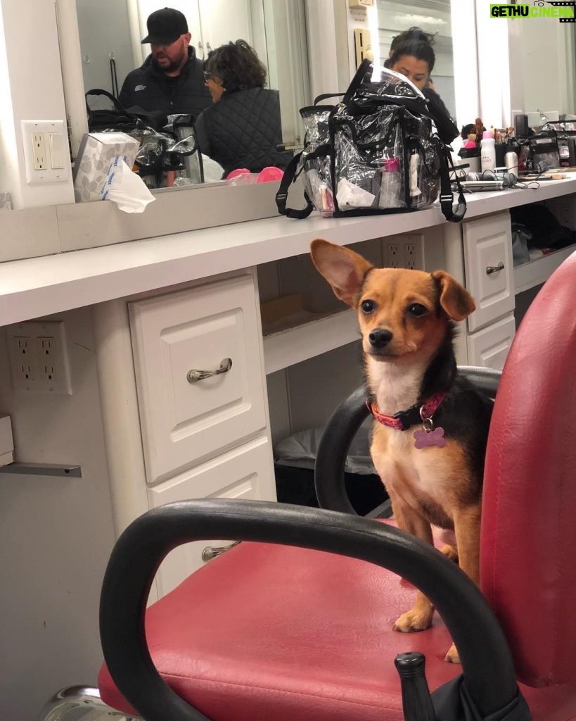 Christian Navarro Instagram - ”Where’s my dad’s coffee?!” As she awaits her pampering. #setlife