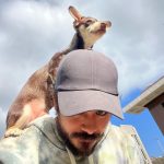 Christian Navarro Instagram - Nothing to see here humans!