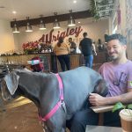 Christian Navarro Instagram - I’ve tried to explain to her for two and a half years now…she’s not a lapdog. I’ve lost this battle.