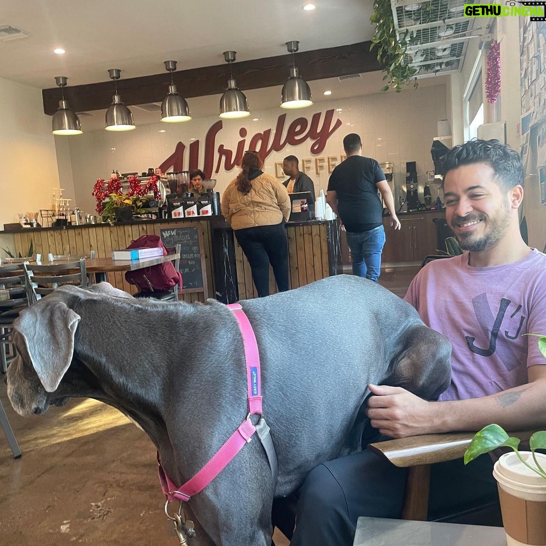Christian Navarro Instagram - I’ve tried to explain to her for two and a half years now…she’s not a lapdog. I’ve lost this battle.